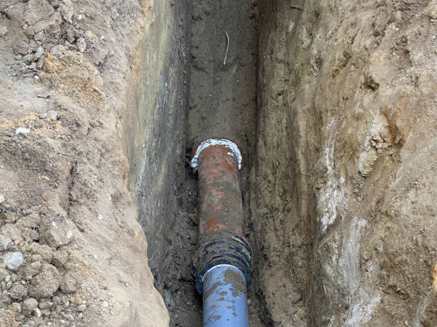 Best Flood damage cleanup  in Chesapeake, OH