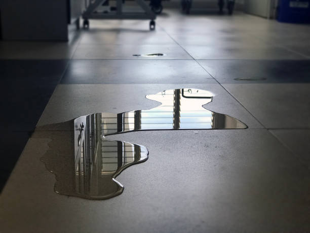 Best 24/7 water damage repair  in Chesapeake, OH