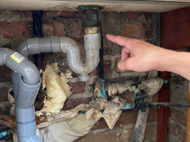 Best Commercial water damage restoration  in Chesapeake, OH