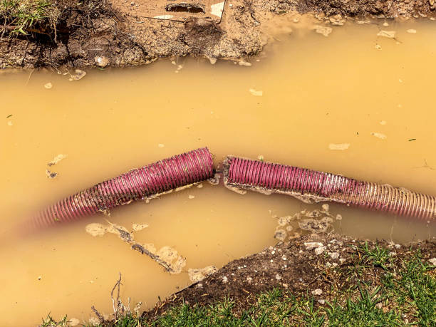 Best Mold removal after water damage  in Chesapeake, OH
